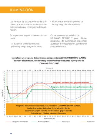 29
2 4 6 8 10 12 14 16 18 20 22 24 26 28 30 32 34 36 38 40 42 44 46 48 50 52 54 56 58 60 62 64 66 68 70
52 07050301 09 11 13 15 17 19 21 23 25 27 29 31 33
Semana del año
Semana de
35 37 39 41 43 45 47 49 51 01 03 05 07 09 11 13 15
24
23
22
21
20
19
18
17
16
15
14
13
12
11
10
9
8
7
6
5
4
3
2
1
0
Iluminación Estd. Luz diurnaPrograma-Iluminación Crepúsculo
Horasdeluz
Programa de iluminación para galpones cerrados
Programa ajustado para galpones abiertos
Iluminación
Los tiempos de oscurecimiento del gal-
pón o de apertura de las ventanas están
determinados por el programa de ilumi-
nación.
Es importante seguir la secuencia co-
rrecta:
•  Al atardecer cierre las ventanas
primero y luego apague las luces;
•  Al amanecer encienda primero las
luces y luego abra las ventanas.
Contacte con su especialista de
LOHMANN TIERZUCHT para obtener
programas de iluminación específicos
ajustados a su localización, condiciones
y requerimientos.
Programa de iluminación ajustado para ponedoras LOHMANN BROWN-CLASSIC
Fecha de eclosión: Diciembre 17, Localización: Berlín
Levante en galpón cerrado, producción en galpón abierto
Estimulación / Edad de traslado: 17semanas
Ejemplo de un programa de iluminación para ponedoras LOHMANN BROWN-CLASSIC
ajustado a localización, condiciones y requerimientos de acuerdo al programa de
LOHMANN TIERZUCHT
 