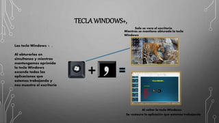 TECLA WINDOWS+,
Las tecla Windows + ,
Al obturarlas en
simultaneo y mientras
mantengamos oprimida
la tecla Windows
esconde todas las
aplicaciones que
estemos trabajando y
nos muestra el escritorio
Mientras se mantiene obturada la tecla
Windows
Al soltar la tecla Windows
Solo se vera el escritorio
Se restaura la aplicación que estamos trabajando
 
