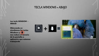 TECLA WINDOWS + ABAJO
Las tecla WINDOW +
ABAJO:
Obturando en
simultaneo las teclas
Windows y
nos reduce el tamaño
de la pantalla o
aplicación que estemos
trabajando
 