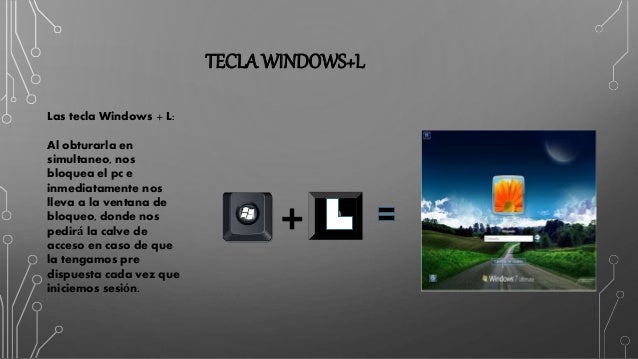 windows l