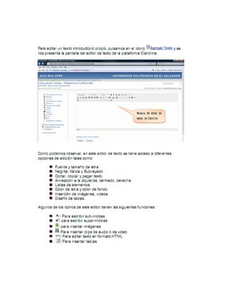 Manual de plataforma
