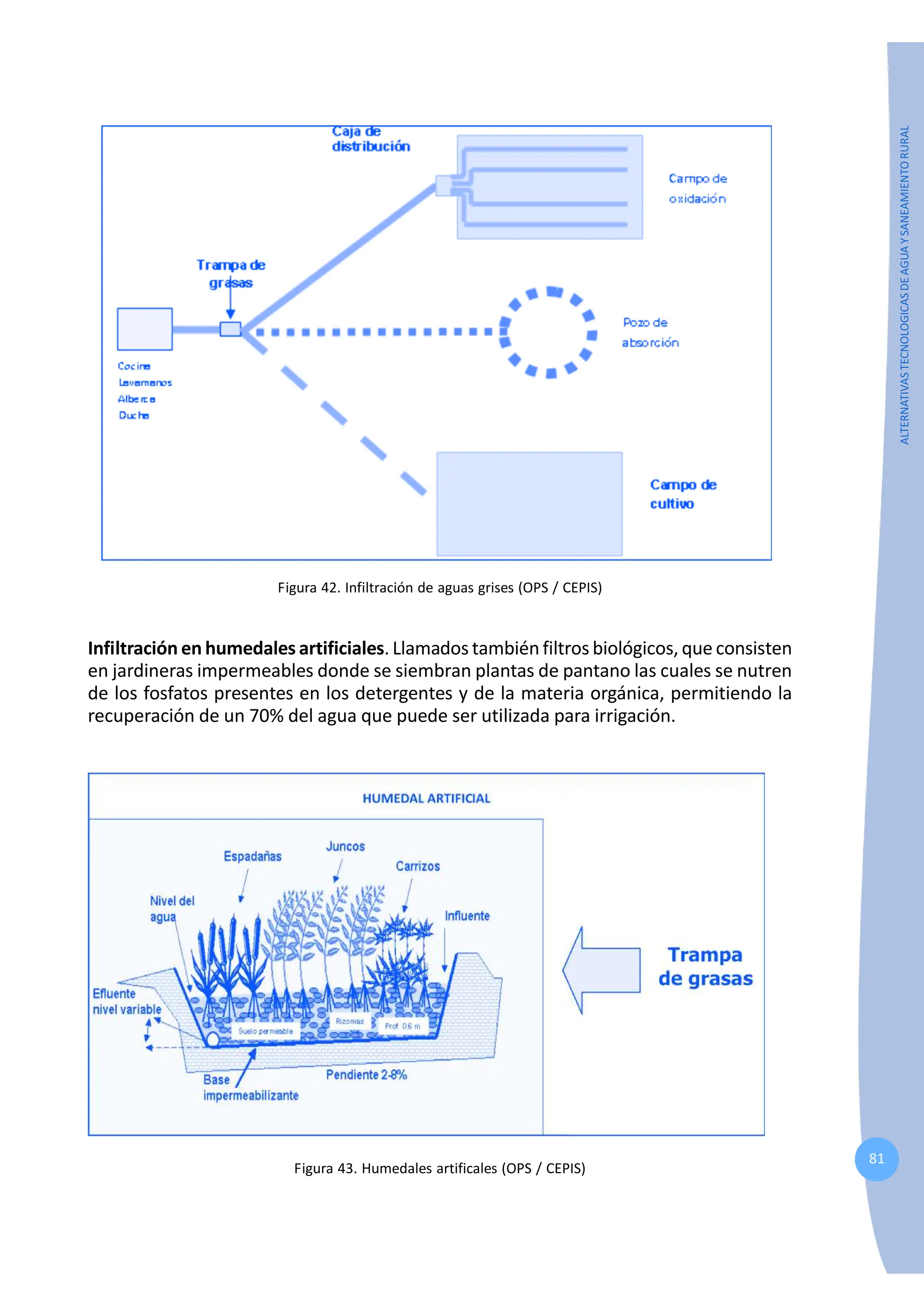 81
ALTERNATIVAS
TECNOLOGICAS
DE
AGUA
Y
SANEAMIENTO
RURAL
Figura 42. Infiltración de aguas grises (OPS / CEPIS)
Infiltración en humedales artificiales. Llamados también filtros biológicos, que consisten
en jardineras impermeables donde se siembran plantas de pantano las cuales se nutren
de los fosfatos presentes en los detergentes y de la materia orgánica, permitiendo la
recuperación de un 70% del agua que puede ser utilizada para irrigación.
Figura 43. Humedales artificales (OPS / CEPIS)
 