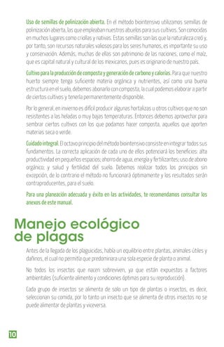 Uso de semillas de polinización abierta. En el método biointensivo utilizamos semillas de
polinización abierta, las que empleaban nuestros abuelos para sus cultivos. Son conocidas
en muchos lugares como criollas y nativas. Estas semillas son las que la naturaleza creó y,
por tanto, son recursos naturales valiosos para los seres humanos, es importante su uso
y conservación. Además, muchas de ellas son patrimonio de las naciones, como el maíz,
que es capital natural y cultural de los mexicanos, pues es originario de nuestro país.
Cultivo para la producción de composta y generación de carbono y calorías. Para que nuestro
huerto siempre tenga suﬁciente materia orgánica y nutrientes, así como una buena
estructura en el suelo, debemos abonarlo con composta, la cual podemos elaborar a partir
de ciertos cultivos y tenerla permanentemente disponible.
Por lo general, en invierno es difícil producir algunas hortalizas u otros cultivos que no son
resistentes a las heladas o muy bajas temperaturas. Entonces debemos aprovechar para
sembrar ciertos cultivos con los que podamos hacer composta, aquellos que aporten
materias seca o verde.

Cuidado integral. El octavo principio del método biointensivo consiste en integrar todos sus
fundamentos. La correcta aplicación de cada uno de ellos potenciará los beneﬁcios: alta
productividad en pequeños espacios; ahorro de agua, energía y fertilizantes; uso de abono
orgánico; y salud y fertilidad del suelo. Debemos realizar todos los principios sin
excepción, de lo contrario el método no funcionará óptimamente y los resultados serán
contraproducentes, para el suelo.
Para una planeación adecuada y éxito en las actividades, te recomendamos consultar los
anexos de este manual.

Manejo ecológico
de plagas
Antes de la llegada de los plaguicidas, había un equilibrio entre plantas, animales útiles y
dañinos, el cual no permitía que predominara una sola especie de planta o animal.
No todos los insectos que nacen sobreviven, ya que están expuestos a factores
ambientales (suﬁciente alimento y condiciones óptimas para su reproducción).
Cada grupo de insectos se alimenta de solo un tipo de plantas o insectos, es decir,
seleccionan su comida, por lo tanto un insecto que se alimenta de otros insectos no se
puede alimentar de plantas y viceversa.

10

 