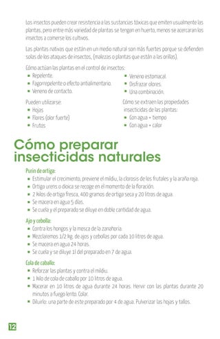 Los insectos pueden crear resistencia a las sustancias tóxicas que emiten usualmente las
plantas, pero entre más variedad de plantas se tengan en huerto, menos se acercaran los
insectos a comerse los cultivos.
Las plantas nativas que están en un medio natural son más fuertes porque se deﬁenden
solas de los ataques de insectos, (malezas o plantas que están a las orillas).
Cómo actúan las plantas en el control de insectos:
Repelente.
Veneno estomacal.
Fagorrepelente o efecto antialimentario.
Disfrazar olores.
Veneno de contacto.
Una combinación.
Pueden utilizarse:
Hojas
Flores (olor fuerte)
Frutos

Cómo se extraen las propiedades
insecticidas de las plantas:
Con agua + tiempo
Con agua + calor

Cómo preparar
insecticidas naturales
Purin de ortiga:
Estimular el crecimiento, previene el mildiu, la clorosis de los frutales y la araña roja.
Ortiga urens o dioica se recoge en el momento de la ﬂoración.
2 kilos de ortiga fresca, 400 gramos de ortiga seca y 20 litros de agua.
Se macera en agua 5 días.
Se cuela y el preparado se diluye en doble cantidad de agua.
Ajo y cebolla:
Contra los hongos y la mosca de la zanahoria.
Mezclaremos 1/2 kg. de ajos y cebollas por cada 10 litros de agua.
Se macera en agua 24 horas.
Se cuela y se diluye 1l del preparado en 7 de agua.
Cola de caballo:
Reforzar las plantas y contra el mildiu.
1 kilo de cola de caballo por 10 litros de agua.
Macerar en 10 litros de agua durante 24 horas. Hervir con las plantas durante 20
minutos a fuego lento. Colar.
Diluirlo: una parte de este preparado por 4 de agua. Pulverizar las hojas y tallos.

12

 