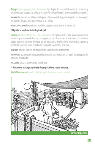 Papaya (Carica papaya), Fam. Caricaceae. Las hojas de este árbol contienen enzimas y
alcaloides que pueden ser utilizadas como fungicida (hongos) y nematicida (nematodos).
PREPARACIÓN: Se mezclan 2 libras de hojas molidas con 1/8 de pasta de jabón

neutro rayado

en 1 galón de agua y se deja reposar 2 a 3 horas.
FORMA DE APLICACIÓN: Después de colar el extracto se debe aplicar el mismo día.

*El producto puede ser irritante para la piel.

Tabaco (Nicotiana tabacum), Fam. Solanaceae. El tabaco tiene como principio activo la
nicotina que es uno de los tóxicos orgánicos más fuertes en la naturaleza. La nicotina
actúa sobre el sistema nervioso de los insectos a través de la respiración, ingesta y
contacto. Funciona como insecticida, fungicida, repelente y acaricida.
CONTROLA: adultos y larvas de lepidópteros y coleópteros, entre otros.
PREPARACIÓN: 12 onzas de tabaco cocidas durante 20 minutos en un galón de agua para 60

litros de insecticida.
APLICACIÓN: hasta 3 aspersiones cada 8 días.

* Sumamente tóxico para animales de sangre caliente y seres humanos.

Ver tabla en anexo (Insectos dañinos y plantas útiles para su control).

HUERTO EN LA AZOTEA

13

 