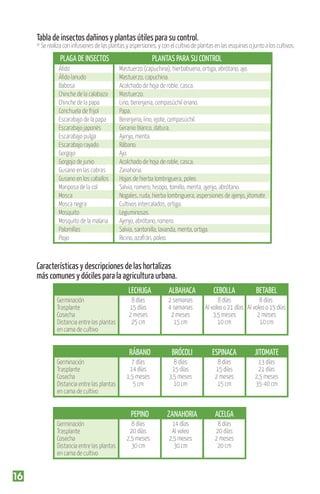 Tabla de insectos dañinos y plantas útiles para su control.

* Se realiza con infusiones de las plantas y aspersiones, y con el cultivo de plantas en las esquinas o junto a los cultivos.

PLAGA DE INSECTOS
Áﬁdo
Áﬁdo lanudo
Babosa
Chinche de la calabaza
Chinche de la papa
Conchuela de frijol
Escarabajo de la papa
Escarabajo japonés
Escarabajo pulga
Escarabajo rayado
Gorgojo
Gorgojo de junio
Gusano en las cabras
Gusano en los caballos
Mariposa de la col
Mosca
Mosca negra
Mosquito
Mosquito de la malaria
Palomillas
Piojo

PLANTAS PARA SU CONTROL
Mastuerzo (capuchina), hierbabuena, ortiga, abrótano, ajo.
Mastuerzo, capuchina.
Acolchado de hoja de roble, casca.
Mastuerzo.
Lino, berenjena, cempasúchil enano.
Papa.
Berenjena, lino, ejote, cempasúchil.
Geranio blanco, datura.
Ajenjo, menta.
Rábano.
Ajo.
Acolchado de hoja de roble, casca.
Zanahoria.
Hojas de hierba lombriguera, poleo.
Salvia, romero, hisopo, tomillo, menta, ajenjo, abrótano.
Nogales, ruda, hierba lombriguera, aspersiones de ajenjo, jitomate.
Cultivos intercalados, ortiga.
Leguminosas.
Ajenjo, abrótano, romero.
Salvia, santonilla, lavanda, menta, ortiga.
Ricino, azafrán, poleo.

Características y descripciones de las hortalizas
más comunes y dóciles para la agricultura urbana.
LECHUGA

Germinación
Trasplante
Cosecha
Distancia entre las plantas
en cama de cultivo

16

2 semanas
4 semanas
2 meses
15 cm

BRÓCOLI

ESPINACA

JITOMATE

7 días
14 días
1,5 meses
5 cm

8 días
15 días
3,5 meses
10 cm

8 días
15 días
2 meses
15 cm

13 días
21 días
2,5 meses
35-40 cm

PEPINO

Germinación
Trasplante
Cosecha
Distancia entre las plantas
en cama de cultivo

ALBAHACA

8 días
15 días
2 meses
25 cm

RÁBANO

Germinación
Trasplante
Cosecha
Distancia entre las plantas
en cama de cultivo

CEBOLLA

BETABEL

ZANAHORIA

ACELGA

8 días
20 días
2,5 meses
30 cm

14 días
Al voleo
2,5 meses
30 cm

8 días
20 días
2 meses
20 cm

8 días
8 días
Al voleo o 21 días Al voleo o 15 días
3,5 meses
2 meses
10 cm
10 cm

 