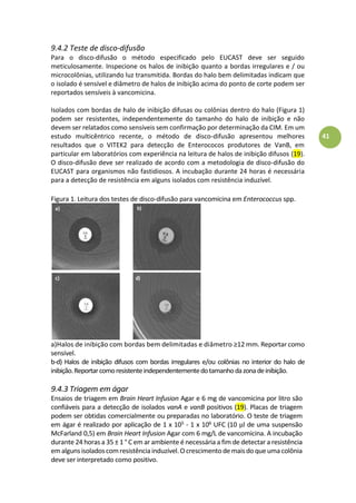 41
9.4.2 Teste de disco-difusão
Para o disco-difusão o método especificado pelo EUCAST deve ser seguido
meticulosamente. Inspecione os halos de inibição quanto a bordas irregulares e / ou
microcolônias, utilizando luz transmitida. Bordas do halo bem delimitadas indicam que
o isolado é sensível e diâmetro de halos de inibição acima do ponto de corte podem ser
reportados sensíveis à vancomicina.
Isolados com bordas de halo de inibição difusas ou colônias dentro do halo (Figura 1)
podem ser resistentes, independentemente do tamanho do halo de inibição e não
devem ser relatados como sensíveis sem confirmação por determinação da CIM. Em um
estudo multicêntrico recente, o método de disco-difusão apresentou melhores
resultados que o VITEK2 para detecção de Enterococos produtores de VanB, em
particular em laboratórios com experiência na leitura de halos de inibição difusos (19).
O disco-difusão deve ser realizado de acordo com a metodologia de disco-difusão do
EUCAST para organismos não fastidiosos. A incubação durante 24 horas é necessária
para a detecção de resistência em alguns isolados com resistência induzível.
Figura 1. Leitura dos testes de disco-difusão para vancomicina em Enterococcus spp.
a)Halos de inibição com bordas bem delimitadas e diâmetro à .àReportar como
sensível.
b-d) Halos de inibição difusos com bordas irregulares e/ou colônias no interior do halo de
inibição.Reportarcomoresistenteindependentementedotamanhodazonadeinibição.
9.4.3 Triagem em ágar
Ensaios de triagem em Brain Heart Infusion Agar e 6 mg de vancomicina por litro são
confiáveis para a detecção de isolados vanA e vanB positivos (19). Placas de triagem
podem ser obtidas comercialmente ou preparadas no laboratório. O teste de triagem
em ágar é realizado por aplicação de 1 x 105 - 1 x 106 UFC (10 µl de uma suspensão
McFarland 0,5) em Brain Heart Infusion Agar com 6 mg/L de vancomicina. A incubação
durante 24 horas a 35 ± 1 ° C em ar ambiente é necessária a fim de detectar a resistência
emalgunsisoladoscomresistênciainduzível.Ocrescimentode maisdo que umacolônia
deve ser interpretado como positivo.
 