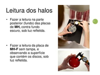 4
Leitura dos halos
• Fazer a leitura na parte
posterior (fundo) das placas
de MH, contra fundo
escuro, sob luz refletida.
• Fazer a leitura da placa de
MH-F sem tampa, e
observando a superfície
que contém os discos, sob
luz refletida.
 