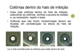 5
Colônias dentro do halo de inibição
• Caso haja colônias dentro do halo de inibição,
subcultivar as colônias, verificar a pureza do isolado
e, se necessário, repetir o teste.
• Colônias que não forem contaminação devem ser
levadas em consideração na leitura do halo de
inibição.
Sem halo
de inibição
ou sem
halo
Ler o halo considerando as colônias que estão dentro do halo.
 