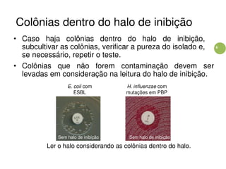 6
Colônias dentro do halo de inibição
• Caso haja colônias dentro do halo de inibição,
subcultivar as colônias, verificar a pureza do isolado e,
se necessário, repetir o teste.
• Colônias que não forem contaminação devem ser
levadas em consideração na leitura do halo de inibição.
E. coli com H. influenzae com
ESBL mutações em PBP
Sem halo de inibição Sem halo de inibição
Ler o halo considerando as colônias dentro do halo.
 