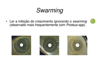 7
Swarming
• Ler a inibição do crescimento ignorando o swarming
(observado mais frequentemente com Proteus spp).
 