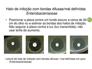 9
Halo de inibição com bordas difusas/mal definidas
Enterobacteriaceae
• Posicionar a placa contra um fundo escuro a cerca de 30
cm do olho nu e estimar as bordas dos halos de inibição.
Não segurar a placa contra a luz (luz transmitida); não
usar lente de aumento.
Leitura do halo de inibição com bordas difusas / mal definidas em para
Enterobacteriaceae.
 