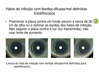 10
Halos de inibição com bordas difusas/mal definidas
Estafilococos
• Posicionar a placa contra um fundo escuro a cerca de 30
cm do olho nu e estimar as bordas dos halos de inibição.
Não segurar a placa contra a luz (luz transmitida); não
usar lente de aumento.
Leitura do halo de inibição com bordas difusas/mal definidas para
estafilococos.
 