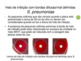 11
Halo de inibição com bordas difusas/mal definidas
S. pneumoniae
• As pequenas colônias que são visíveis quando a placa está
posicionada a cerca de 30 cm do olho nu devem ser
consideradas quando se faz a leitura do halo de inibição.
• A presença de pequenas colônias próximas à borda do halo
de inibição pode estar relacionada ao excesso de umidade no
meio MH-F, que pode ser reduzida com a secagem das
placas antes do uso.
Leitura do halo de inibição com bordas difusas/mal definidas para S.
pneumoniae.
 