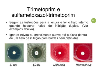 16
Trimetoprim e
sulfametoxazol-trimetoprim
• Seguir as instruções para a leitura e ler o halo interno
quando hopuver halos de inibição duplos. (Ver
exemplos abaixo).
• Ignorar névoa ou crescimento suave até o disco dentro
de um halo de inibição com bordas bem definidas.
E. coli SCoN Moraxella Haemophilus
 