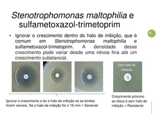 17
Stenotrophomonas maltophilia e
sulfametoxazol-trimetoprim
• Ignorar o crescimento dentro do halo de inibição, que é
comum em Stenotrophomonas maltophilia e
sulfametoxazol-trimetoprim. A densidade desse
crescimento pode variar desde uma névoa fina até um
crescimento substancial.
Ignorar o crescimento e ler o halo de inibição se as bordas
forem visíveis. Se o halo de inibição for ≥ 16 mm = Sensível
Crescimento próximo
ao disco e sem halo de
inibição = Resistente
Sem halo de
inibição
 