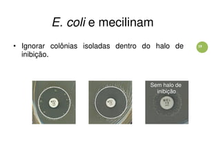 19
E. coli e mecilinam
• Ignorar colônias isoladas dentro do halo de
inibição.
Sem halo de
inibição
 