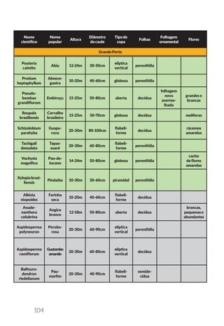 104
Nome
científico
Nome
popular
Altura
Diâmetro
docaule
Tipode
copa
Folhas
Folhagem
ornamental
Flores
GrandePorte
Pouteria
caimito
Abiu 12-24m 30-50cm
elíptica
vertical
perenifólia
Protium
heptaphyllum
Almece-
gueira
10-20m 40-60cm globosa perenifólia
Pseudo-
bombax
grandiflorum
Embiruçu 15-25m 50-80cm aberta decídua
folhagem
nova
averme-
lhada
grandese
brancas
Roupala
brasiliensis
Carvalho
brasileiro
15-25m 50-70cm globosa decídua melíferas
Schizolobium
parahyba
Guapu-
ruvu
20-30m 80-100cm
flabeli-
forme
decídua
rácemos
amarelos
Tachigali
denudata
Tapas-
suaré
20-30m 60-80cm
flabeli-
forme
perenifólia
Vochysia
magnifica
Pau-de-
tucano
14-24m 50-80cm globosa perenifólia
cacho
deflores
amarelas
Xylopiabrasi-
liensis
Pindaíba 10-30m 30-60cm piramidal perenifólia
Albizia
niopoides
Farinha
seca
10-20m 40-60cm
flabeli-
forme
decídua
Anade-
nanthera
colubrina
Angico
branco
12-18m 50-80cm aberta decídua
brancas,
pequenase
abundantes
Aspidosperma
polyneuron
Peroba-
rosa
20-30m 60-90cm
elíptica
vertical
perenifólia
Aspidosperma
ramiflorum
Guatambu
amarelo
20-30m 60-80cm
elíptica
vertical
decídua
Balfouro-
dendron
riedelianum
Pau-
marfim
20-30m 40-90cm
flabeli-
forme
semide-
cídua
 