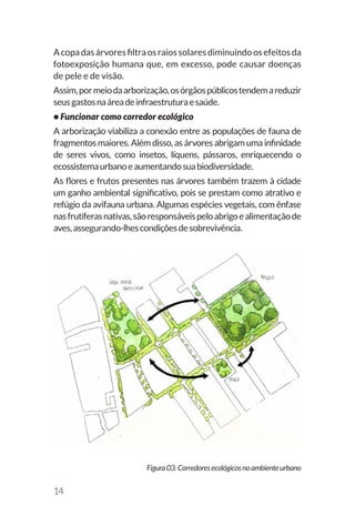14
Acopadasárvoresfiltraosraiossolaresdiminuindoosefeitosda
fotoexposição humana que, em excesso, pode causar doenças
de pele e de visão.
Assim,pormeiodaarborização,osórgãospúblicostendemareduzir
seusgastosnaáreadeinfraestruturaesaúde.
• Funcionar como corredor ecológico
A arborização viabiliza a conexão entre as populações de fauna de
fragmentos maiores. Além disso, as árvores abrigam uma infinidade
de seres vivos, como insetos, líquens, pássaros, enriquecendo o
ecossistemaurbanoeaumentandosuabiodiversidade.
As flores e frutos presentes nas árvores também trazem à cidade
um ganho ambiental significativo, pois se prestam como atrativo e
refúgio da avifauna urbana. Algumas espécies vegetais, com ênfase
nasfrutíferasnativas,sãoresponsáveispeloabrigoealimentaçãode
aves,assegurando-lhescondiçõesdesobrevivência.
Figura03.Corredoresecológicosnoambienteurbano
 