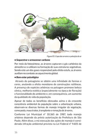16
• Sequestrar e armazenar carbono
Por meio da fotossíntese, as árvores capturam o gás carbônico da
atmosfera e o utilizam na formação de suas estruturas vegetativas.
Sendo este um dos gases responsável pelo efeito estufa, as árvores
auxiliamnocombateaoaquecimentoglobal.
• Bem estar psicológico
Através do paisagismo se obtém uma infinidade de formas e
cores, anulando o efeito monótono de construções retilíneas.
A presença de espécies arbóreas na paisagem promove beleza
cênica, melhoria estética (especialmente na época de floração)
e funcionalidade do ambiente e, em consequência, um aumento
da qualidade de vida da população.
Apesar de todos os benefícios elencados acima e da crescente
consciência ambiental da população sobre a arborização urbana,
observam-se diversas formas de manejo irregular da vegetação,
comopoda,maustratos,transplanteeremoçãodeárvores.
Conforme Lei Municipal nº 10.365 de 1987, todo manejo
arbóreo depende da prévia autorização da Prefeitura de São
Paulo. Além disso, a má execução das ações de manejo é consi-
derada infração ambiental prevista na Lei Federal nº 9.605 de
Figura05.Copadasarvoresepoluiçãodoar
 