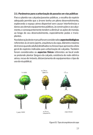 19
3.1. Parâmetros para a arborização de passeios em vias públicas
Para o plantio nas calçadas/passeios públicos, a escolha da espécie
adequada permite que a árvore tenha um pleno desenvolvimento,
explorando o espaço aéreo disponível sem causar interferências e
danosaosdemaisequipamentospúblicos,àsconstruçõeseaocalça-
mento,econsequentementetendemadiminuirasaçõesdemanejo,
ao longo do seu desenvolvimento, especialmente podas e trans-
plantes.
Naelaboraçãodestemanualforamconsideradosaspectosbiológicos
referentes às árvores (porte, arquitetura da copa, diâmetro máximo
dotroncoquandoadulta)detalhadosnoAnexoIqueapresentaalista
geral de espécies indicadas para arborização de calçadas. Também
foram considerados os aspectos físicos referentes ao local onde
se pretende plantar (largura da calçada, existência de rede elétrica
aérea, recuo de imóveis, distanciamento de equipamentos e tipo de
usodaviapública).
Figura01.Tiposdearquiteturadecopa
 
