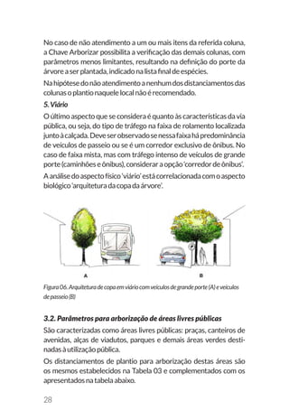 28
No caso de não atendimento a um ou mais itens da referida coluna,
a Chave Arborizar possibilita a verificação das demais colunas, com
parâmetros menos limitantes, resultando na definição do porte da
árvoreaserplantada,indicadonalistafinaldeespécies.
Nahipótesedonãoatendimentoanenhumdosdistanciamentosdas
colunasoplantionaquelelocalnãoérecomendado.
5.Viário
Oúltimoaspectoqueseconsideraéquantoàscaracterísticasdavia
pública, ou seja, do tipo de tráfego na faixa de rolamento localizada
juntoàcalçada.Deveserobservadosenessafaixahápredominância
de veículos de passeio ou se é um corredor exclusivo de ônibus. No
caso de faixa mista, mas com tráfego intenso de veículos de grande
porte(caminhõeseônibus),consideraraopção‘corredordeônibus’.
Aanálisedoaspectofísico‘viário’estácorrelacionadacomoaspecto
biológico‘arquiteturadacopadaárvore’.
Figura06.Arquiteturadecopaemviáriocomveículosdegrandeporte(A)eveículos
depasseio(B)
3.2. Parâmetros para arborização de áreas livres públicas
São caracterizadas como áreas livres públicas: praças, canteiros de
avenidas, alças de viadutos, parques e demais áreas verdes desti-
nadasàutilizaçãopública.
Os distanciamentos de plantio para arborização destas áreas são
os mesmos estabelecidos na Tabela 03 e complementados com os
apresentadosnatabelaabaixo.
 