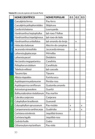 30
NOMECIENTÍFICO NOMEPOPULAR G1 G2 G3
Consagradas
Caesalpiniaferrea Pau-ferro
Caesalpiniapeltophoroiddes Sibipiruna
Cordiatrichotoma Louropardo
Handroanthusheptaphyllus Ipê-roxo-7-folhas
Handroanthusimpetiginosus Ipê-roxo-de-bola
Handroanthusumbellatus Ipê-amarelo-do-brejo x
Holocalyxbalansae Alecrim-de-campinas
Jacarandamimosifolia Jacarandámimoso x
Lafoensiaglyptocarpa Mirindiba
Lafoensiapacari Dedaleiro
Nectandramegapotamica Canelinha
Peltophorumdubium Canafístula
Tabebuiavellosoi Ipê-cascudo
Tipuanatipu Tipuana
Potenciais
Albizianiopoides Farinhaseca
Aspidospermapolyneuron Peroba-rosa
Aspidospermaramiflorum Guatambuamarelo
Astroniumgraveolens Guaritá
Balfourodendronriedelianum Pau-marfim
Cabraleacanjerana Canjarana
Calophyllumbrasiliensis Guanandi
Calycophyllumspruceanum Pau-mulato x x
Campomanesiaxanthocarpa Guabiroba x x
Carinianaestrelensis Jequitibá-branco
Carinianalegalis Jequitibá-rosa
Cedrelafissilis Cedro
Citharexylummyrianthum Pau-viola
Tabela05.ListadeespéciesdeGrandePorte
 