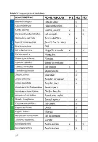 34
NOMECIENTÍFICO NOMEPOPULAR M1 M2 M3
Consagradas
Bauhiniavariegata Patadevaca x
Cassialeptophylla Falsobarbatimão x
Cordiasuperba BabosaBranca x x
Handroanthuschrysotrichus Ipê-amarelo x x
Koelreuteriabipinnata ÁrvoredaChina x
Lagerstroemiaspeciosa Resedáflorderainha x
Licaniatomentosa Oiti
Micheliachampaca Magnóliaamarela x x
Pachiraaquatica Monguba
Pterocarpusviolaceus Aldrago x
Sapindussaponária Sabão-de-soldado x
Tabebuiaroseo-alba Ipê-branco x
Tibouchinagranulosa Quaresmeira x
Potenciais
Allophilusedulis Chal-chal x
Andiraanthelmia Angelim-amargoso x
Andirafraxinifolia Angelim-doce x
Aspidospermacylindrocarpon Peroba-poca
Aspidospermaparvifolium Guatambu-oliva
Astroniumfraxinifolium Aroeira-vermelha
Bowdichiavirgilioides Sucupirapreta x
Cybistaxantisyphilitica Ipê-verde x
Eugeniapyriformis Uvaia x
Eugeniauniflora Pitanga x
Handroanthusochraeceus Ipê docerrado x
Jacarandacuspidifolia Caroba x
Lueheacandicans Açoita-cavalo x x
Lueheagrandiflora Açoita-cavalo x
Tabela06.ListadeespéciesdeMédioPorte
 