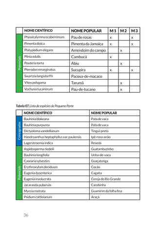 36
NOMECIENTÍFICO NOMEPOPULAR M1 M2 M3
Potenciais
Physocalymmascaberrimum Pauderosas x x
Pimentadioica PimentadaJamaica x x
Platypodiumelegans Amendoimdocampo x
Pliniaedulis Cambucá x
Pouteriatorta Abiu x
Pterodonemarginatus Sucupira x x
Swartzialangsdorffii Pacova-de-macaco
Vitexpolygama Tarumã x
Vochysiatucanorum Pau-de-tucano x
NOMECIENTÍFICO NOMEPOPULAR
Consagradas
Bauhiniablakeana Patadevaca
Bauhiniapurpurea Patadevaca
Dictyolomavandellianum Tingui-preto
Handroanthusheptaphyllusvar.paulensis Ipê-rosa-anão
Lagerstroemiaindica Resedá
Potenciais
Aspidospermariedelii Guatambuzinho
Bauhinialongifolia Unha-de-vaca
Caseariasylvestirs Guaçatonga
Erythroxylumdeciduum Cocão
Eugeniadysenterica Cagaita
Eugeniainvolucrata CerejadoRioGrande
Jacarandapuberula Carobinha
Myrciarostrata Guamirimdafolhafina
Psidiumcattleianum Araçá
Tabela07.ListadeespéciesdePequenoPorte
 