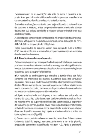 41
Eventualmente, se as condições do solo da cova o permitir, este
poderá ser parcialmente utilizado livre de impurezas e melhorado
comoacréscimodamisturadescritaanteriormente.
Em todas as situações, contudo, quer seja utilizando o solo retirado
da cova ou a mistura, antes do preenchimento a terra de plantio
deverá ter sua acidez corrigida e receber adubo mineral e ter sua
acidezcorrigida.
Aacidezpodesercorrigidacomcalcário,naproporçãodeaproxima-
damente 200g/cova, e a adubação mineral com a aplicação de NPK
(04-14-08)naproporçãode100g/cova.
Estas quantidades de insumos valem para covas de 0,60 x 0,60 x
0,50 m e deverão ser aumentadas proporcionalmente ao aumento
dasdimensõesdascovas.
4.3. Plantio da muda e acabamento:
Estaoperaçãodeveseracompanhadadecuidadosbásicos,masnem
por isso menos importantes, voltados a assegurar a integridade das
mudas durante o manuseio e sua localização correta em relação ao
espaçodacovaeàsuperfíciedosolo:
a) A retirada da embalagem que envolve o torrão deve ser feita
somente no momento do plantio. Cuidando para não provocar
injúrias às raízes, que podem comprometer o bom desenvolvimento
destas.Nessemomento,senecessário,pode-serealizaratoiletteda
mudapormeiodocorte,comtesouradepoda,dasraízesenoveladas
nofundodorecipientequecontémotorrão.
b) Após a retirada da embalagem, a muda deve ser colocada no
centro da cova. Seu colo deverá ser posicionado de maneira a ficar
no mesmo nível da superfície do solo; isto significa que, a depender
dotamanhodotorrão,poderáhavernecessidadedepreenchimento
prévio do fundo da cova com terra. Importante lembrar que o tutor
deve ser inserido na cova logo após a abertura desta e antes da
colocaçãodamuda(Fig.08).
c) Com a muda posicionada corretamente, deverá ser feito o preen-
chimento total do espaço remanescente com a terra de plantio,
preparada conforme especificado no item 4.2. Após o preenchi-
 