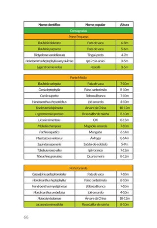 66
Nomecientífico Nomepopular Altura
Consagradas
PortePequeno
Bauhiniablakeana Patadevaca 6-8m
Bauhiniapurpurea Patadevaca 5-6m
Dictyolomavandellianum Tingui-preto 4-7m
Handroanthusheptaphyllusvar.paulensis Ipê-rosa-anão 3-5m
Lagerstroemiaindica Resedá 3-5m
PorteMédio
Bauhiniavariegata Patadevaca 7-10m
Cassialeptophylla Falsobarbatimão 8-10m
Cordiasuperba BabosaBranca 7-10m
Handroanthuschrysotrichus Ipê-amarelo 4-10m
Koelreuteriabipinnata ÁrvoredaChina 10-12m
Lagerstroemiaspeciosa Resedáflorderainha 8-10m
Licaniatomentosa Oiti 8-15m
Micheliachampaca Magnóliaamarela 7-10m
Pachiraaquatica Monguba 6-14m
Pterocarpusviolaceus Aldrago 8-14m
Sapindussaponaria Sabão-de-soldado 5-9m
Tabebuiaroseo-alba Ipê-branco 7-12m
Tibouchinagranulosa Quaresmeira 8-12m
PorteGrande
Caesalpiniapeltophoroiddes Patadevaca 7-10m
Handroanthusheptaphyllus Falsobarbatimão 8-10m
Handroanthusimpetiginosus BabosaBranca 7-10m
Handroanthusumbellatus Ipê-amarelo 4-10m
Holocalyxbalansae ÁrvoredaChina 10-12m
Jacarandamimosifolia Resedáflorderainha 8-10m
 