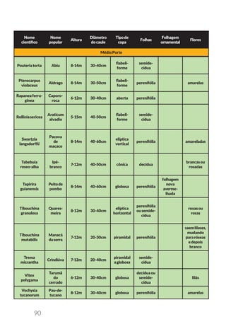 90
Nome
científico
Nome
popular
Altura
Diâmetro
docaule
Tipode
copa
Folhas
Folhagem
ornamental
Flores
MédioPorte
Pouteriatorta Abiu 8-14m 30-40cm
flabeli-
forme
semide-
cídua
Pterocarpus
violaceus
Aldrago 8-14m 30-50cm
flabeli-
forme
perenifólia amarelas
Rapaneaferru-
ginea
Caporo-
roca
6-12m 30-40cm aberta perenifólia
Rolliniasericea
Araticum
alvadio
5-15m 40-50cm
flabeli-
forme
semide-
cídua
Swartzia
langsdorffii
Pacova
de
macaco
8-14m 40-60cm
elíptica
vertical
perenifólia amareladas
Tabebuia
roseo-alba
Ipê-
branco
7-12m 40-50cm cônica decídua
brancasou
rosadas
Tapirira
guianensis
Peitode
pombo
8-14m 40-60cm globosa perenifólia
folhagem
nova
averme-
lhada
Tibouchina
granulosa
Quares-
meira
8-12m 30-40cm
elíptica
horizontal
perenifólia
ousemide-
cídua
roxasou
rosas
Tibouchina
mutabilis
Manacá
daserra
7-12m 20-30cm piramidal perenifólia
saemlilases,
mudando
pararóseas
edepois
branco
Trema
micrantha
Crindiúva 7-12m 20-40cm
piramidal
aglobosa
semide-
cídua
Vitex
polygama
Tarumã
do
cerrado
6-12m 30-40cm globosa
decíduaou
semide-
cídua
lilás
Vochysia
tucanorum
Pau-de-
tucano
8-12m 30-40cm globosa perenifólia amarelas
 