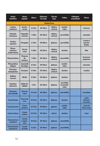 94
Nome
científico
Nome
popular
Altura
Diâmetro
docaule
Tipode
copa
Folhas
Folhagem
ornamental
Flores
MédioPorte
Luehea
candicans
Açoita-
cavalo
8-12m 30-50cm
elíptica
vertical
semide-
cídua
brancas
Michelia
champaca
Magnólia
amarela
7-10m 20-40cm
elíptica
vertical
perenifólia amarelas
Pachira
aquatica
Monguba 6-14m 40-80cm globosa perenifólia
cremese
averme-
lhadas
Physo-
calymma
scaberrimum
Paude
rosas
5-10m 20-35cm
elíptica
vertical
decídua lilás
Pimentadioica
Pimenta
da
Jamaica
7-10m 20-40cm
elíptica
vertical
perenifólia
brancase
pequenas
Platypodium
elegans
Jacarandá
docampo
8-12m 40-50cm globosa
semide-
cídua
amarelas
Pterodon
emarginatus
Sucupira 8-16m 30-40cm
elíptica
vertical
decídua rosadas
Rollinia
mucosa
Biribá 8-16m 40-60cm globosa decídua
Sapindus
saponaria
Sabão-de-
soldado
5-9m 30-40cm globosa
pernifólia
ousemide-
cídua
Brownea
macrophylla
Rosada
mata
10-12m 40-60cm globosa perenifólia vermelhas
Cassiafistula
Chuvade
ouro
10-15m 20-35cm globosa decídua
cacho
deflores
amarelas
Cassiajavanica
Cássia
javanica
10-12m 50-80cm globosa
semide-
cídua
cachode
floresrosas
Cassianodosa
Cássia
nodosa
10-12m 40-60cm aberta decídua rosas
Cinnamomum
camphora
Canela
canpho-
reira
10-12m 30-45cm globosa perenifólia
Cinnamomum
zeylanicum
Canela
daÍndia
8-12m 20-40cm globosa perenifólia
 