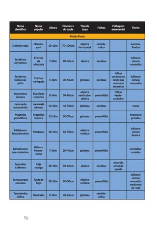 96
Nome
científico
Nome
popular
Altura
Diâmetro
docaule
Tipode
copa
Folhas
Folhagem
ornamental
Flores
MédioPorte
Delonixregia
Flambo-
yant
10-12m 70-100cm
elíptica
horizontal
semide-
cídua
averme-
lhadas
Erythrina
abyssinica
Eritrina
da
abissínia
7-10m 20-40cm aberta decídua
inflores-
cência
vermelha
Erythrina
indicavar.
picta
Eritrina
variegada
5-10m 30-50cm globosa decídua
folhas
verdeseao
longodas
nervuras
amarelas
inflores-
cência
vermelha
Eucalyptus
cinerea
Eucalipto
cinzento
8-14m 50-80cm
elíptica
verticalou
aberta
perenifólia
folhas
verde-
azuladas
Jacaranda
mimosifolia
Jacarandá
mimoso
12-15m 40-70cm globosa decídua roxas
Magnolia
grandiflora
Magnólia
branca
12-15m 50-70cm globosa perenifólia
brancase
grandes
Melaleuca
leucadendron
Melaleuca 10-15m 50-70cm
elíptica
vertical
perenifólia
inflores-
cência
branca
Montezuma
speciosissima
Hibisco
Monte-
zuma
7-10m 20-40cm globosa perenifólia
vermelho-
rosadas
Spondias
cytherea
Cajá
manga
10-15m 40-60cm aberta decídua
amarela
antesda
queda
Stenocarpus
sinuatus
Rodade
fogo
10-12m 20-30cm
elíptica
vertical
perenifólia
inflores-
cência
vermelha
emforma
deroda
Tamarindus
indica
Tamarindo 8-12m 40-60cm globosa
semide-
cídua
 