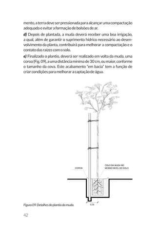 Manual de Arborização 