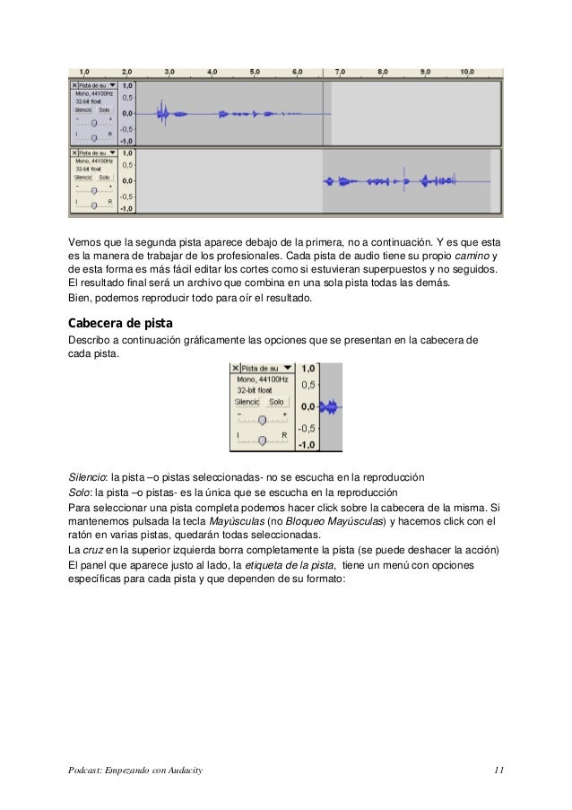 Manual audacity