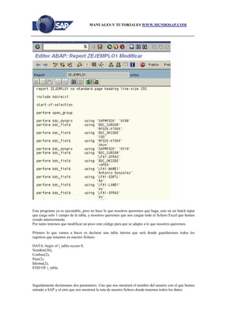 Manual batch-inputs | PDF