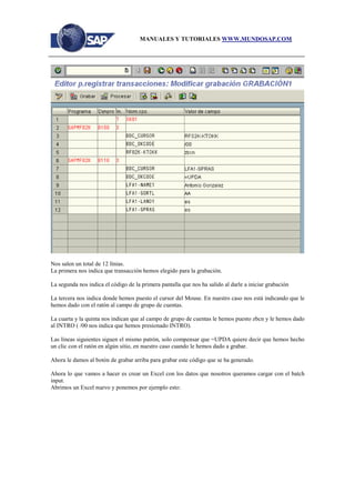 Manual batch-inputs | PDF