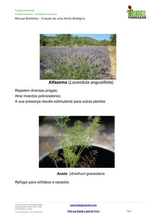 Fundação BioLogic@
All Rights Reserved – Confidential Information
Manual BioHorta – Criação de uma Horta Biológica
Alfazema (Lavandula angustifolia)
Repelem diversas pragas;
Atrai insectos polinizadores;
A sua presença resulta estimulante para outras plantas
Aneto (Anethum graveolens
Refúgio para sirfídeos e caracóis
Parque da Ciência e Tecnologia da Maia
Rua Engenheiro Frederico Ulrich, 2650
4470-605 Maia | Portugal
t +351 937417095 | f +351 229 420 429
www.biologicaonline.com
Pela sua Saúde e pela da Terra Pág.27
 