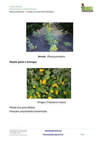 Fundação BioLogic@
All Rights Reserved – Confidential Information
Manual BioHorta – Criação de uma Horta Biológica
Arruda (Ruta graveolens
Repele gatos e formigas
Chagas (Tropaelum majus)
Planta-isco para afídeos
Possuem propriedades bactericidas
Parque da Ciência e Tecnologia da Maia
Rua Engenheiro Frederico Ulrich, 2650
4470-605 Maia | Portugal
t +351 937417095 | f +351 229 420 429
www.biologicaonline.com
Pela sua Saúde e pela da Terra Pág.28
 