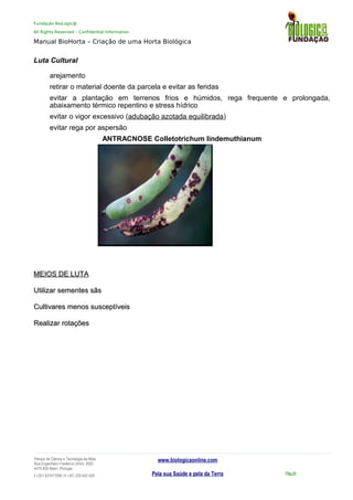 Fundação BioLogic@
All Rights Reserved – Confidential Information
Manual BioHorta – Criação de uma Horta Biológica
Luta Cultural
arejamento
retirar o material doente da parcela e evitar as feridas
evitar a plantação em terrenos frios e húmidos, rega frequente e prolongada,
abaixamento térmico repentino e stress hídrico
evitar o vigor excessivo (adubação azotada equilibrada)
evitar rega por aspersão
ANTRACNOSE Colletotrichum lindemuthianum
MEIOS DE LUTAMEIOS DE LUTA
Utilizar sementes sãsUtilizar sementes sãs
Cultivares menos susceptíveisCultivares menos susceptíveis
Realizar rotaçõesRealizar rotações
Parque da Ciência e Tecnologia da Maia
Rua Engenheiro Frederico Ulrich, 2650
4470-605 Maia | Portugal
t +351 937417095 | f +351 229 420 429
www.biologicaonline.com
Pela sua Saúde e pela da Terra Pág.34
 