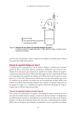 10. CÁMARAS DE SEGURIDAD BIOLÓGICA




Figura 6. Esquema de una cámara de seguridad biológica de clase I.
          A: abertura frontal; B: ventana de cristal; C: ﬁltro HEPA de salida; D: cámara de dis-
          tribución del extractor




aire de la sala, sin esterilizar, sobre la superﬁcie de trabajo, se considera que no ofrece
una protección ﬁable del producto.

Cámaras de seguridad biológica de clase II
A medida que fue aumentando el uso de cultivos celulares y tisulares para la propa-
gación de virus y otros ﬁnes, dejó de considerarse satisfactorio que el aire no este-
rilizado de la sala pasara por encima de la superﬁcie de trabajo. Además de propor-
cionar protección personal, las CSB de clase II protegen del aire contaminado del local
a los materiales de la superﬁcie de trabajo. Las CSB de clase II, de las que hay cuatro
tipos (A1, A2, B1 y B2), diﬁeren de las CSB de clase I en que sólo permiten que entre
en contacto con la superﬁcie de trabajo aire que ha pasado por un ﬁltro HEPA (aire
estéril). Las CSB de clase II pueden utilizarse para trabajar con agentes infecciosos de
los grupos de riesgo 2 y 3, y también con agentes infecciosos del grupo de riesgo 4,
siempre que se utilicen trajes presurizados.

Cámaras de seguridad biológica de clase II tipo A1
Estas cámaras se representan en la ﬁgura 7. Un ventilador interno succiona aire de la
sala (aire de entrada) hacia la cámara a través de la abertura frontal y lo dirige hacia
la rejilla frontal de entrada. La velocidad de esta corriente de aire debe ser de al menos
0,38 m/s a la altura de la abertura frontal. Ese aire pasa a continuación por un ﬁltro
HEPA antes de dirigirse, descendiendo verticalmente, hacia la superﬁcie de trabajo.


                                             • 57 •
 
