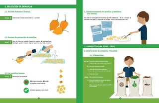 CAL
CENIZA
1.1 El Chile habanero (frutos).
1.3 Las semillas buenas
1.2 Proceso de extracción de semillas.
NO tengan manchas, NO estén
arrugadas y otras rarezas
Tamaños iguales y color claro
1.4 Almacenamiento de semillas y semillero
(ver anexo).
2.1 Elaboración de composta (Bocashi).
Sacos de estiércol desmenuzado
(Gallina, Ganado, Conejo, Caballo, Oveja, Cerdo, etc.)
Sacos de hojarasca picada
Sacos de buena tierra agrícola
(tierra negra o tierra de una milpa recién quemada)
Saco de ceniza
(Dos puños) de levadura
Conos de panela ó 4 litros de melaza
o 6 kilos de azúcar rubia
Agua a prueba de puño, entre 50 y 60%
de humedad.
Revisar que las semillas:
PASO 1
PASO 2
PASO 3
Seleccionar: frutos sanos maduros y grandes
Abrir el fruto con cuidado, separar la semilla de la pulpa, lavar
hasta que queden limpias, dejarla escurrir y secar bajo sombra.
1. SELECCIÓN DE SEMILLAS
2. COMPOSTA PARA SEMILLEROS
Por cada 10 cucharadas de semillas de Chile habanero, 2 de cal o ceniza, se
envuelve con papel, y se guarda en un lugar fresco y seco, lejos de la luz.
40 - 45
10
5
1
500gr.
8
2.1.1 Materiales:
1 2
 