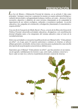 PRESENTACIÓN
3
a Ley de Montes y Ordenación Forestal de Asturias, en su artículo 2, fija como
principios “proteger, conservar y aumentar los montes en cuanto referencia biológica y
cultural, favoreciendo y salvaguardando la fauna y la flora, así como… favorecer el uso
recreativo, deportivo y didáctico de estos terrenos, fomentando en la comunidad la
importancia de sus valores ecológicos, culturales y económicos mediante la acción
educativa y las campañas de orientación y divulgación, fomentando el conocimiento y
respetoalárbol”.
Con este fin la Consejería de Medio Rural y Pesca, a través de la Dirección General de
Política Forestal, desarrolla actividades educativas, divulgativas y de sensibilización
forestal dirigidas tanto a los integrantes del sistema educativo como al resto de la
sociedadasturiana.
Entre esas actividades se encuentra la publicación de este Manual sobre “Cómo plantar
un árbol”, en el que, para 15 especies autóctonas y comunes en Asturias, se ofrecen
dibujos generales y de detalle, instrucciones concretas para su plantación y una sencilla
descripcióndesus principalescaracterísticas,hábitatyusos.
Esperamos que el Manual “Cómo plantar un árbol”, que hoy ponemos en sus manos,
sea de agrado y utilidad para los lectores y que, entre todos, podamos conservar y
hacer cada vez más rico y diverso el patrimonio forestal y natural de Asturias.
 