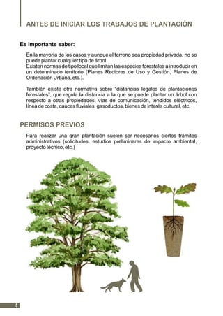 4
Índice
En la mayoría de los casos y aunque el terreno sea propiedad privada, no se
puede plantar cualquier tipo de árbol.
Existen normas de tipo local que limitan las especies forestales a introducir en
un determinado territorio (Planes Rectores de Uso y Gestión, Planes de
Ordenación Urbana, etc.).
También existe otra normativa sobre “distancias legales de plantaciones
forestales”, que regula la distancia a la que se puede plantar un árbol con
respecto a otras propiedades, vías de comunicación, tendidos eléctricos,
línea de costa, cauces fluviales, gasoductos, bienes de interés cultural, etc.
ANTES DE INICIAR LOS TRABAJOS DE PLANTACIÓN
Es importante saber:
Para realizar una gran plantación suelen ser necesarios ciertos trámites
administrativos (solicitudes, estudios preliminares de impacto ambiental,
proyecto técnico, etc.)
PERMISOS PREVIOS
 