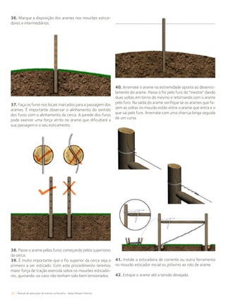 24 Manual de aplicações de arames na Pecuária - Belgo Bekaert Arames
36. Marque a disposição dos arames nos mourões estica-
dores e intermediários.
37. Faça os furos nos locais marcados para a passagem dos
arames. É importante observar o alinhamento do sentido
dos furos com o alinhamento da cerca. A parede dos furos
pode exercer uma força atrito no arame que dificultará a
sua passagem e o seu esticamento.
38. Passe o arame pelos furos começando pelos superiores
da cerca.
39. É muito importante que o fio superior da cerca seja o
primeiro a ser esticado. Com este procedimento teremos
maior força de tração exercida sobre os mourões esticado-
res, ajustando-os caso não tenham sido bem tensionados.
40. Arremate o arame na extremidade oposta ao desenro-
lamento do arame. Passe o fio pelo furo do “mestre” dando
duas voltas em torno do mesmo e retornando com o arame
pelo furo. Na saída do arame verifique se os arames que fa-
zem as voltas no mourão estão entre o arame que entra e o
que sai pelo furo. Arremate com uma charrua longa seguida
de um curta.
41. Instale a esticadeira de corrente ou outra ferramenta
no mourão esticador inicial ou próximo ao rolo de arame.
42. Estique o arame até a tensão desejada.
 