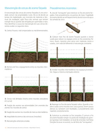 36 Manual de aplicações de arames na Pecuária - Belgo Bekaert Arames
Manutenção de cercas de arame farpado
A manutenção das cercas de arames farpados é uma ativi-
dade comum nas propriedades rurais. Ela se dá devido ao
tempo de implantação, uso incorreto de materiais e téc-
nicas de instalação, ação física dos animais que tentam
transpô-las ou quando são atingidas por queimadas e raios.
Para identificar a causa da manutenção de suas cercas de-
vemos avaliar os seguintes itens:
1. Cantos frouxos, mal compactados ou mal dimensionados.
2. Número de fios e espaçamento entre os mourões inter-
mediários.
3. Cercas mal alinhadas (trecho entre mourões esticadores
em curva).
4. Fixação dos arames nas extremidades (ver arremate dos
arames nos mourões de canto).
5. Fixação dos arames nos mourões de meio ou intermediários.
6. Integridade do arame e das estruturas (mourões).
7. Manutenções anteriores erradas.
Procedimentos incorretos:
1. Uso de “torniquete” para reesticar os fios de arame far-
pados. Este procedimento cria pontos de maior fragilidade
do arame devido ao enfraquecimento da estrutura do aço e
da camada de zinco.
2. Colocar mais fios de arame farpado quando o arame
usado para reduzir os espaços entre os fios existentes for
novo. Assim, teremos uma cerca com materiais novos e
usados, com vida útil diferente e manutenção constante.
3. Instalar mourões intermediários nos espaços já existen-
tes. Segue a mesma orientação anterior.
4. Repregar os fios de arame farpado soltos. Quando a ma-
deira usada como mourão tiver casca grossa, forem pouco
densos ou racharem com facilidade, o procedimento será
repetido constantemente.
5. Substituir ou emendar os fios rompidos. É comum o fio
de arame farpado romper no ponto de instalação do gram-
po (grampo mal instalado), no local de emendas mal feitas
(torções bruscas no arame), ou de feitio de “torniquetes”.
 