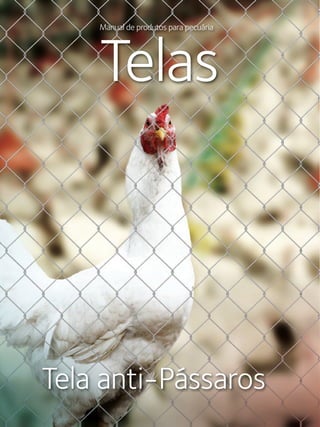 64 Manual de aplicações de arames na Pecuária - Belgo Bekaert Arames
Manual de produtos para pecuária
Telas
Tela anti-Pássaros
 