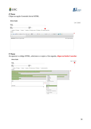 4º Passo
Clique na opção Conteúdo Inicial HTML.
5º Passo
Ao aparecer o código HTML, selecione-o e copie-o. Em seguida, clique no botão Cancelar.
30
 