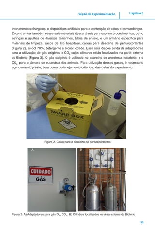95
Capítulo 6Seção de Experimentação
instrumentais cirúrgicos; e dispositivos artificiais para a contenção de ratos e camundongos.
Encontram-se também nessa sala materiais descartáveis para uso em procedimentos, como
seringas e agulhas de diversos tamanhos, tubos de ensaio, e um armário específico para
materiais de limpeza, sacos de lixo hospitalar, caixas para descarte de perfurocortantes
(Figura 2), álcool 70%, detergente e álcool iodado. Essa sala dispõe ainda de adaptadores
para a utilização de gás oxigênio e CO2,
cujos cilindros estão localizados na parte externa
do Biotério (Figura 3). O gás oxigênio é utilizado no aparelho de anestesia inalatória, e o
CO2,
para a câmara de eutanásia dos animais. Para utilização desses gases, é necessário
agendamento prévio, bem como o planejamento criterioso das datas do experimento.
Figura 2. Caixa para o descarte de perfurocortantes
Figura 3. A) Adaptadores para gás O2 e
CO2
; B) Cilindros localizados na área externa do Biotério
A B
 